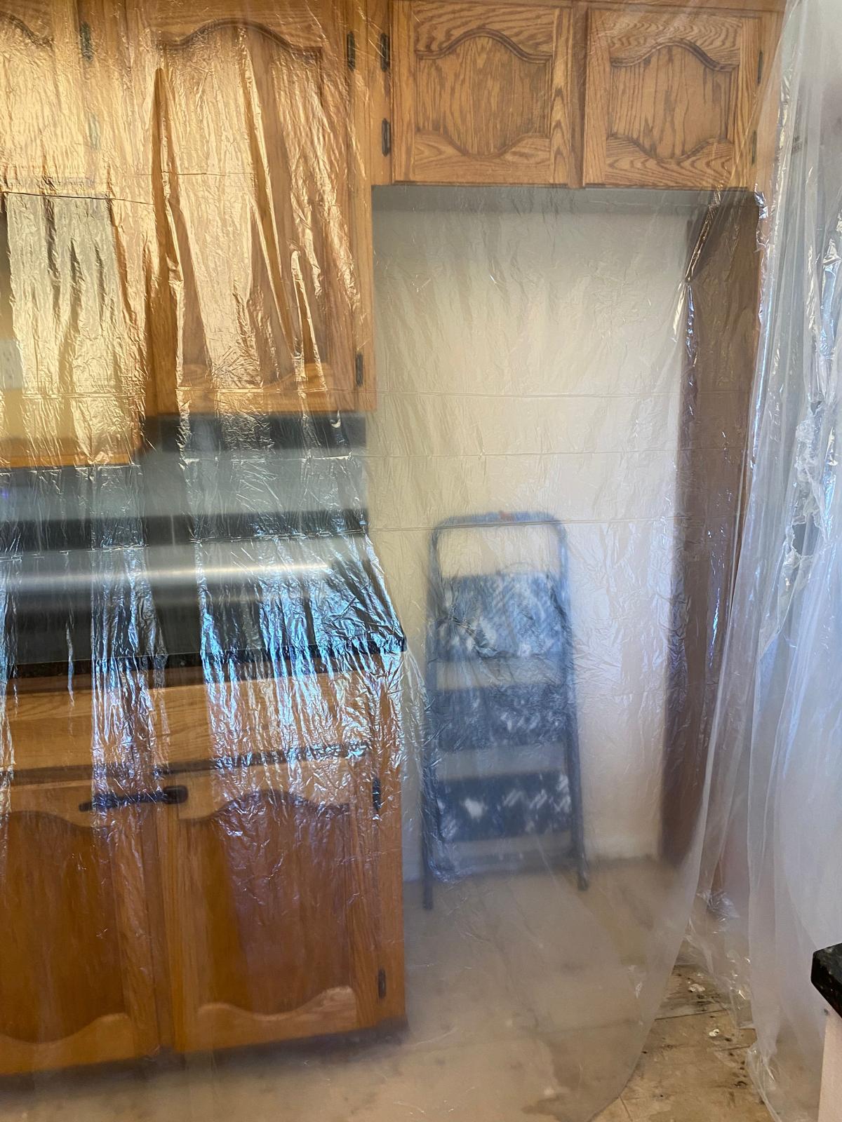 Mold Remediation